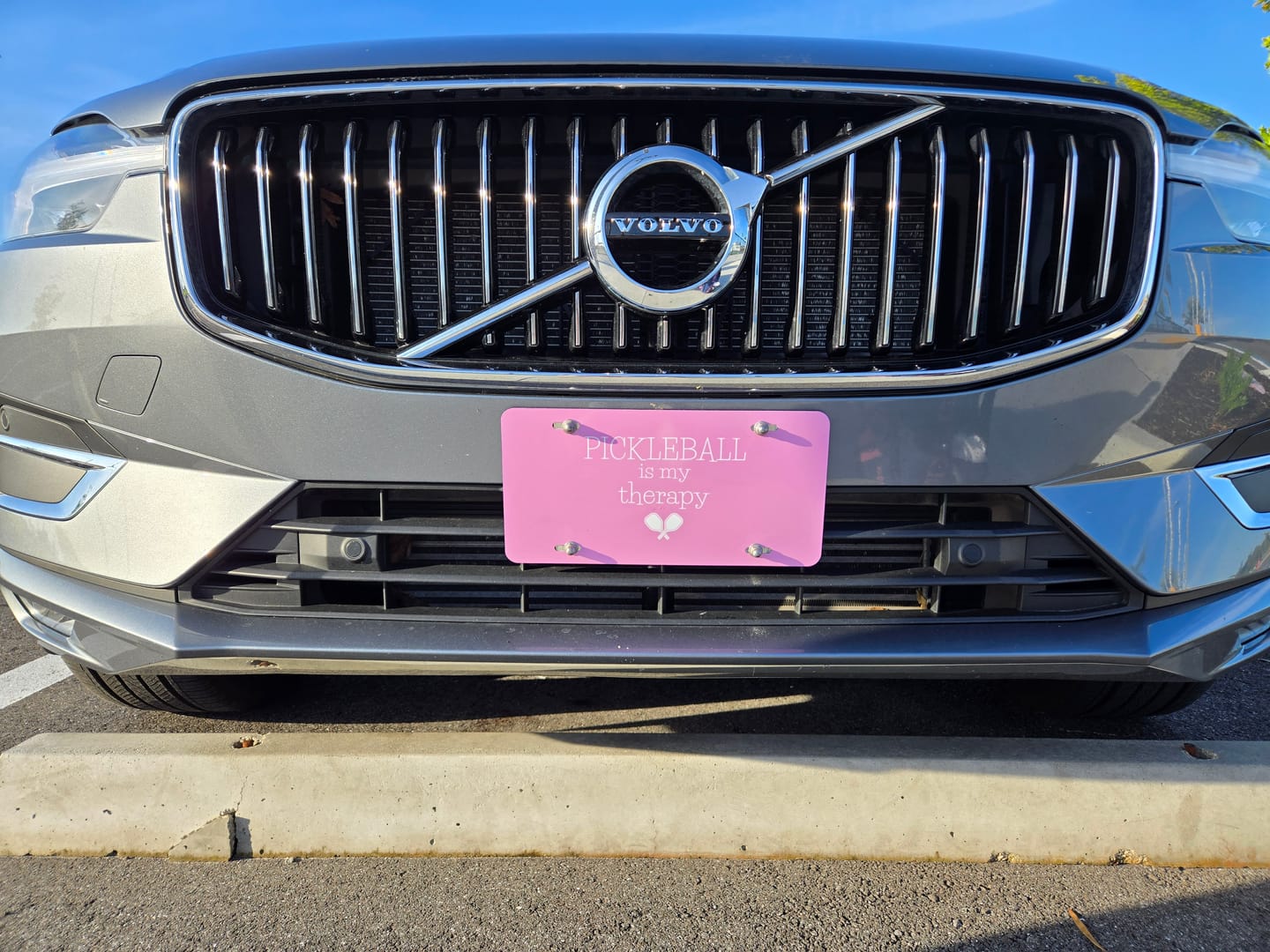 Customer photo review of Pickleball Is My Therapy Vanity Plate