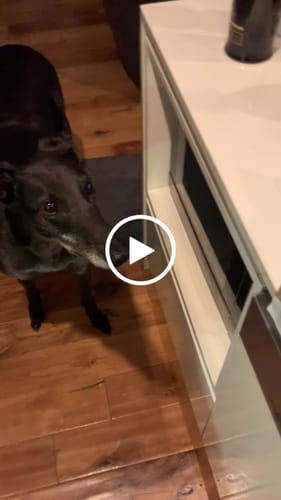 Customer video review of Roo Heart