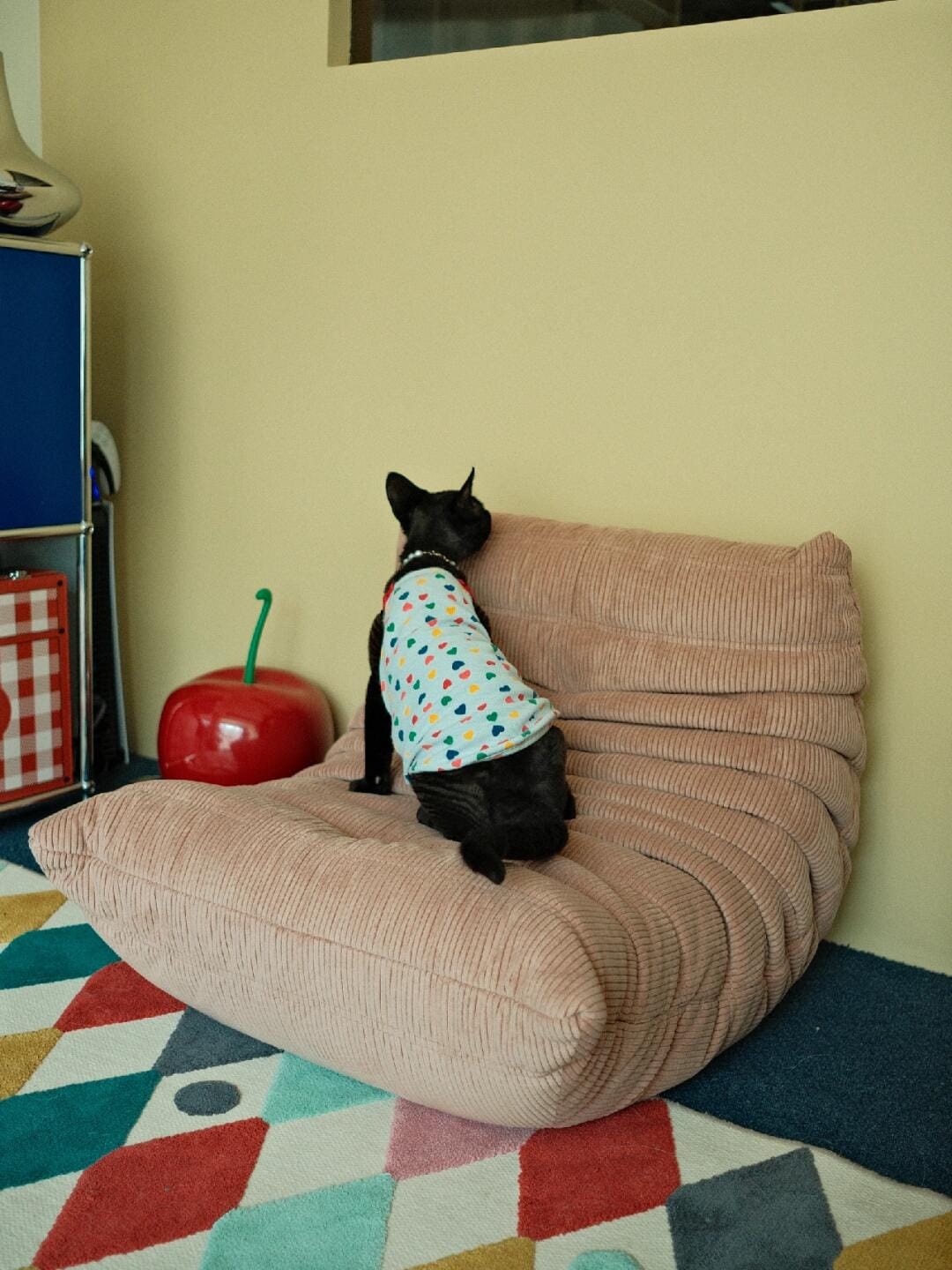 Customer photo review of Cocoon Sofa(Corduroy)