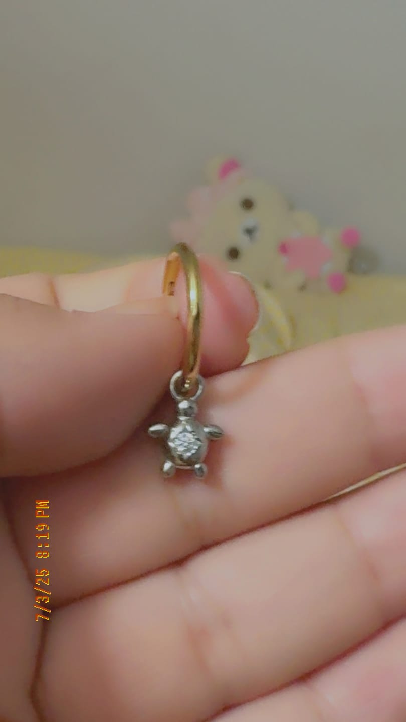 Customer photo review of Sunrise Turtle Charm