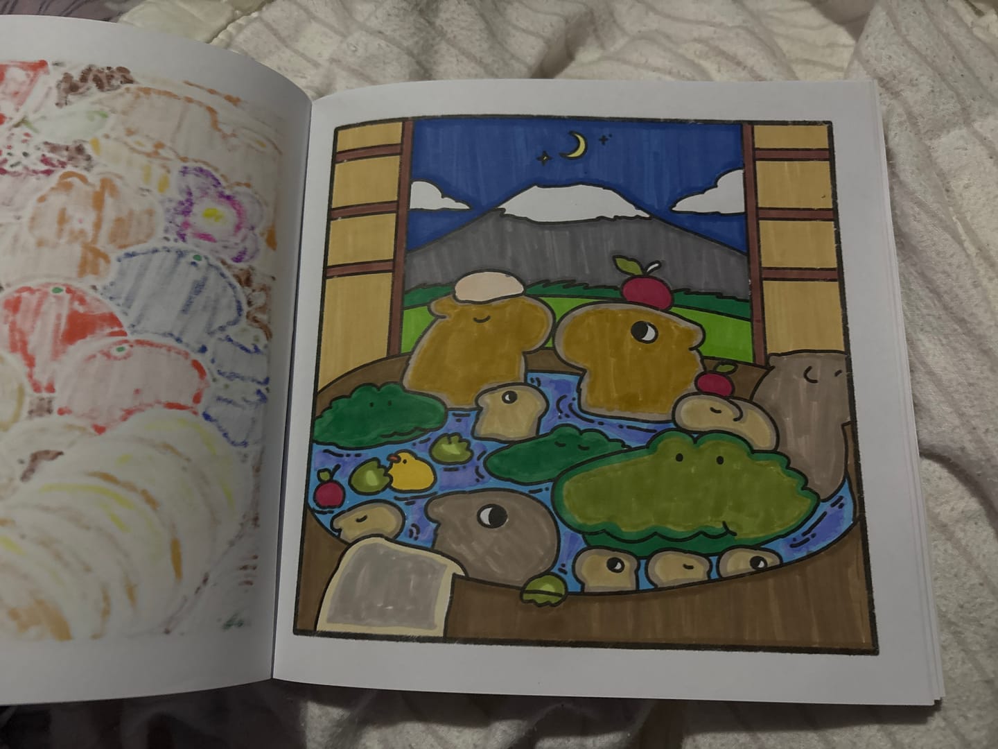 Customer photo review of Ohuhu Paper-friendly (No Peeling) Markers Water-based 60 Colors