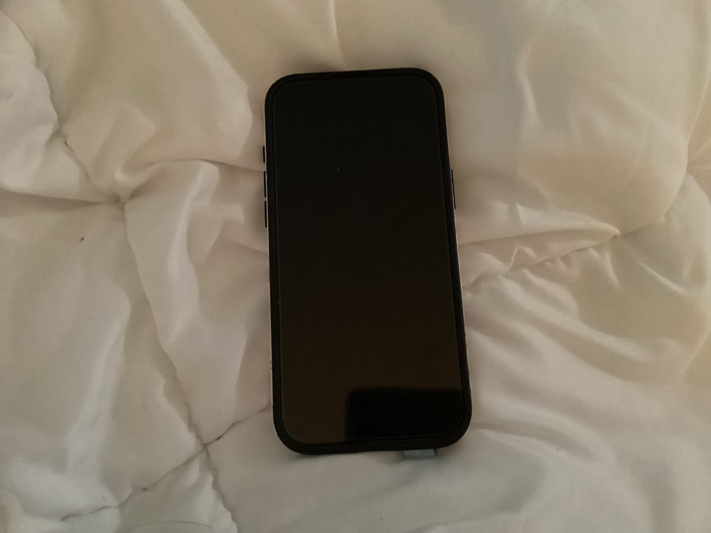 Customer photo review of Screen Protector