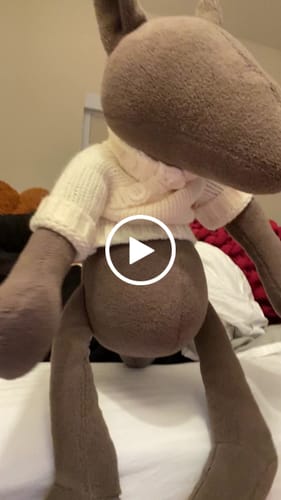 Customer video review of PIOTR, LE LOUP - GRAND