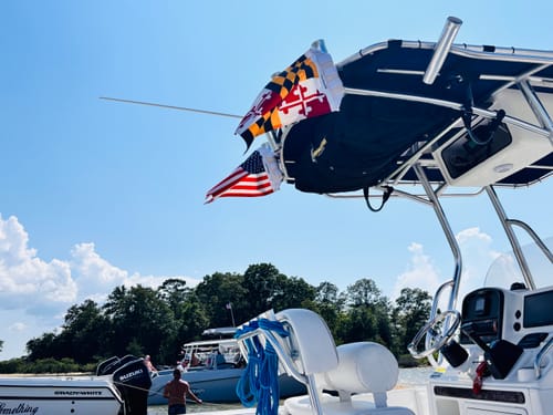 Customer photo review of Maryland Flag