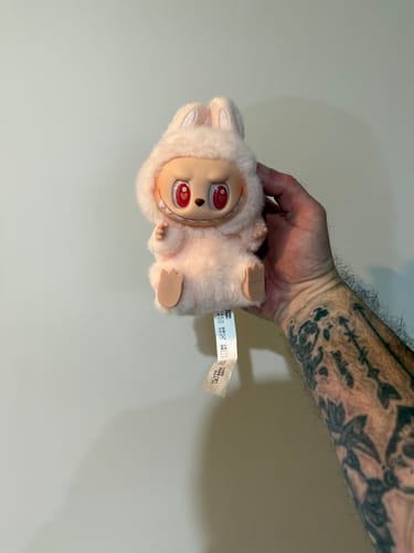 Customer photo review of Pop Mart Labubu The Monsters Have a Seat Vinyl Plush Blind Box