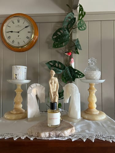 Customer photo review of Winter Fireworks