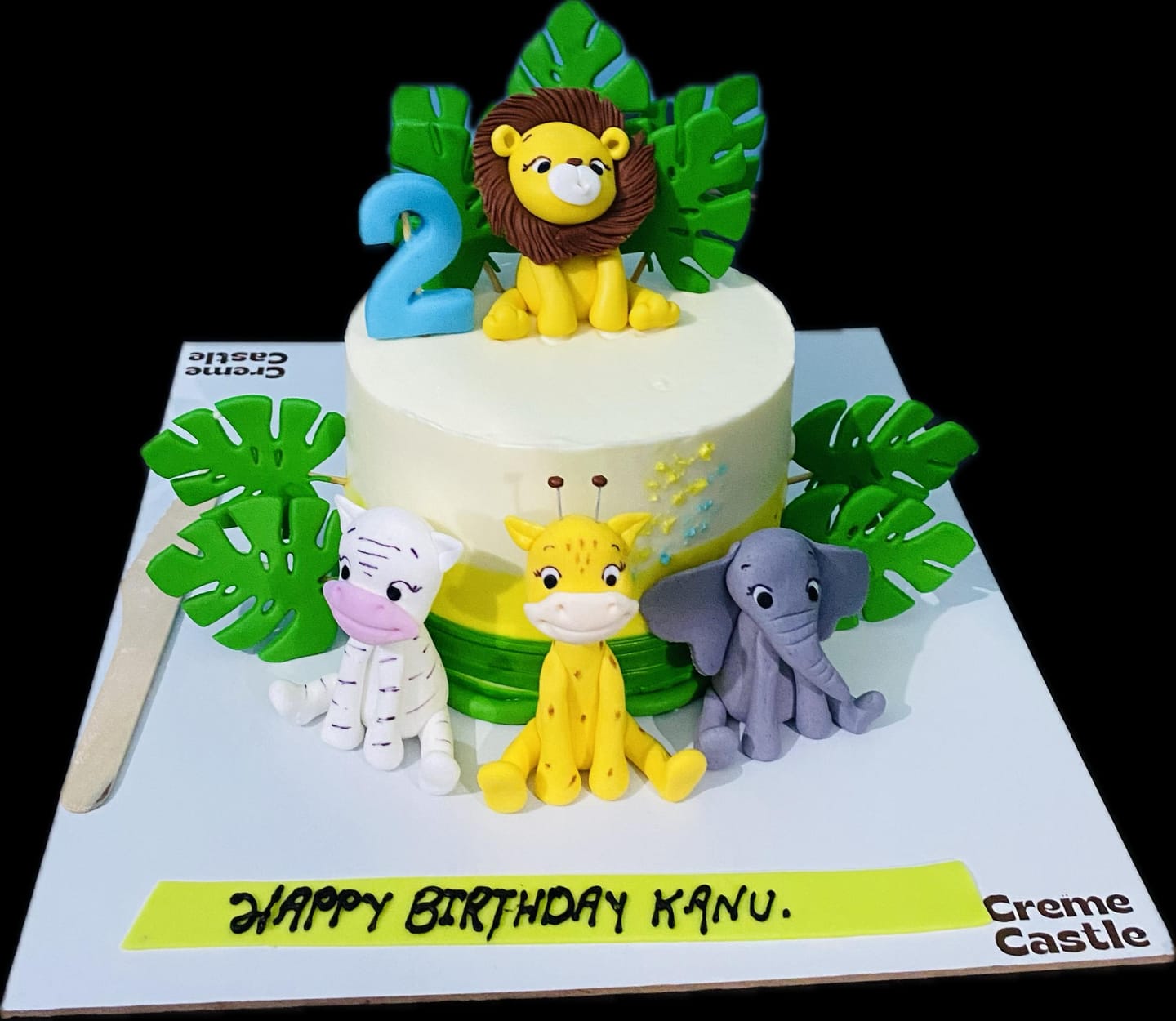 Customer photo review of Animal Party Birthday Cake