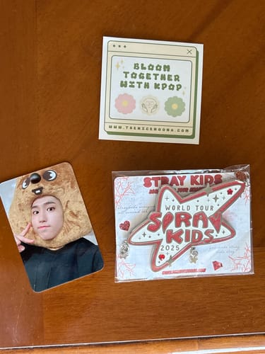 Customer photo review of Straykids 2025 World Tour Enamel Pin