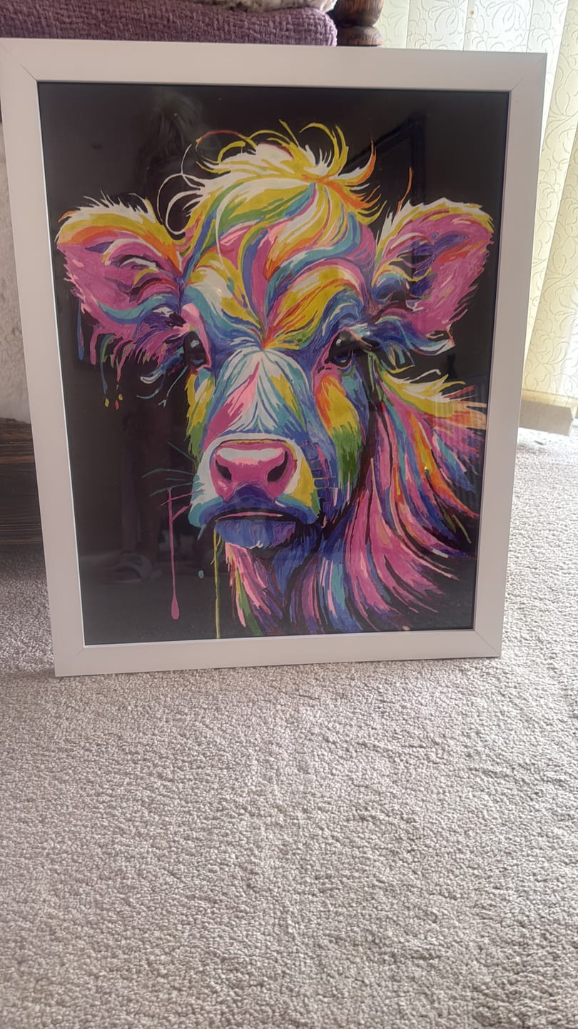 Customer photo review of Paint by Numbers - Vibrant Cow Art