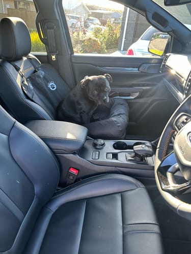 Customer photo review of Car Seat Cover