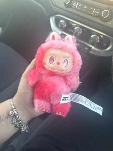 Customer photo review of Pop Mart Labubu The Monsters Big Into Energy Vinyl Plush Pendant (Single Blind Box)