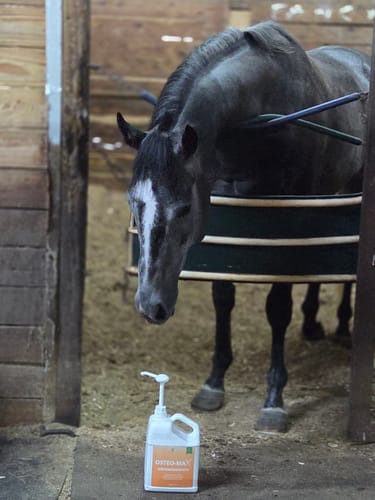 Customer photo review of Osteo-MAX » up to 29% Off