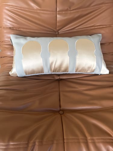 Customer photo review of 30x60cm SKJJ Aladdin  Embroidery Cushion ECC152