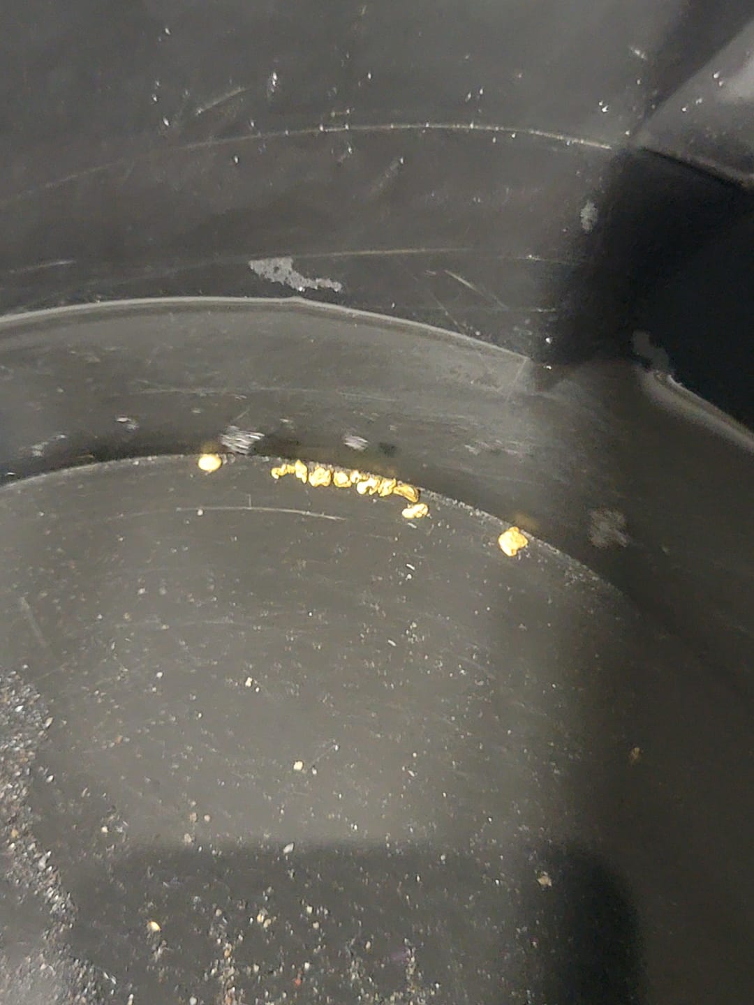 Customer photo review of Bering Sea Paydirt