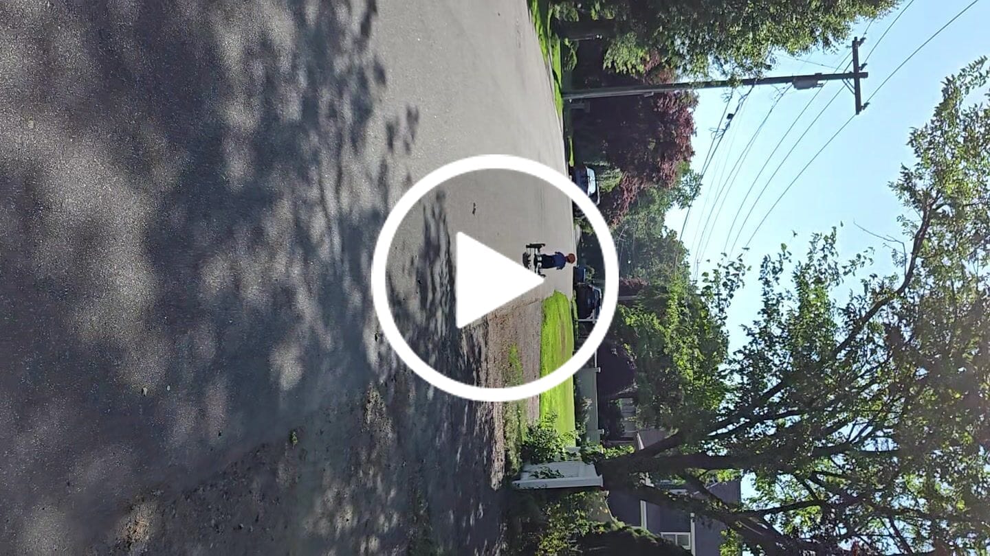 Customer video review of BERG Buddy