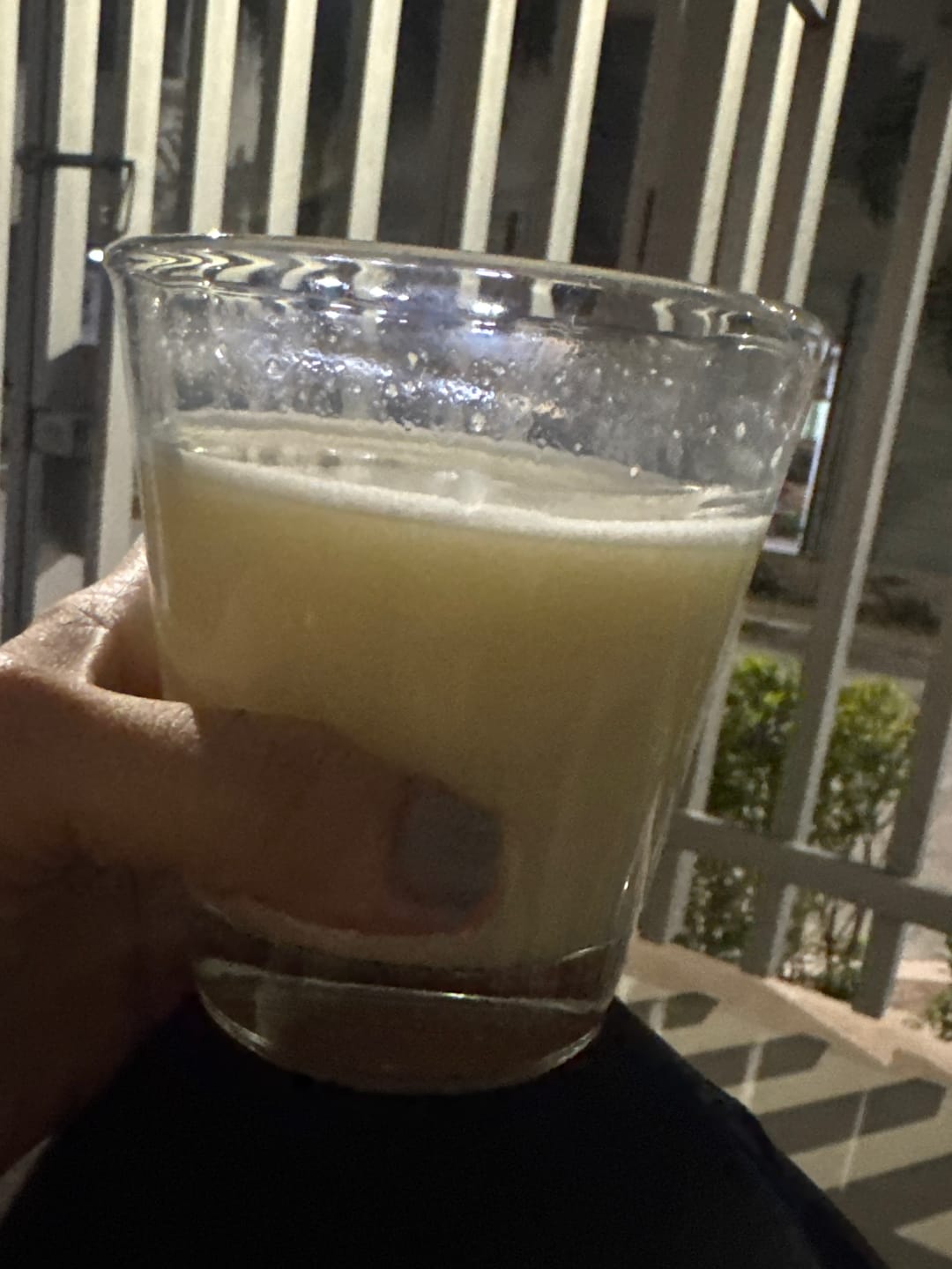 Customer photo review of Batido Elixir Life con Colágeno Marino y Bovino by Natalia Paris x 600 g