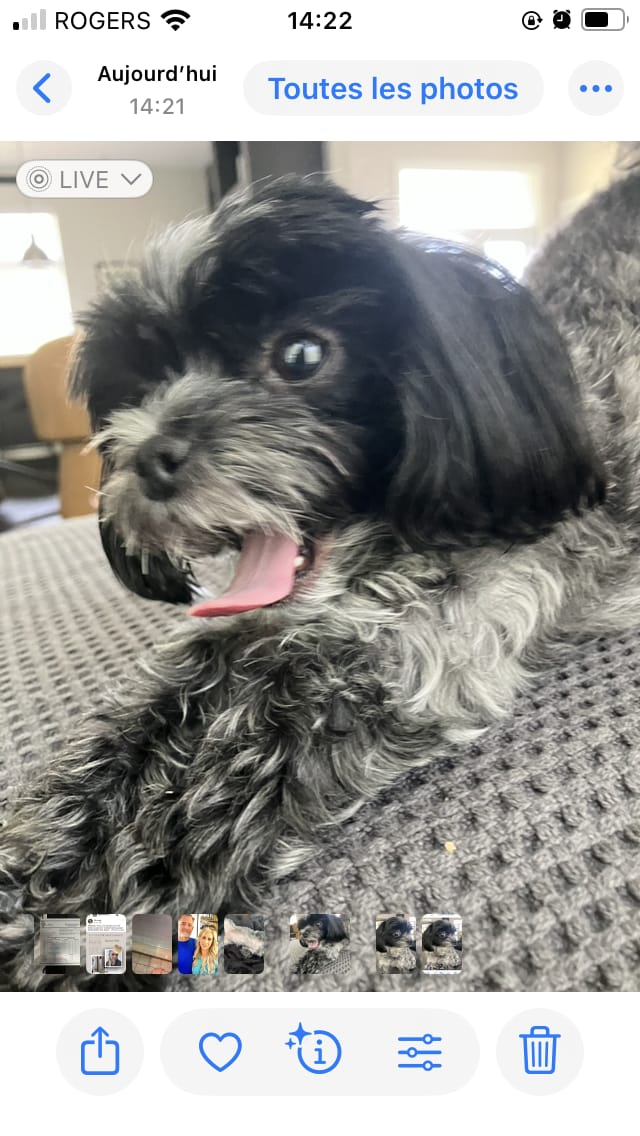Customer photo review of Stella & Chewy's - Meal Mixers pour chien