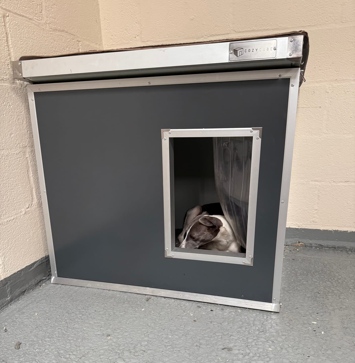 Customer photo review of CozyCube Coldroom Panel Insulated Dog House