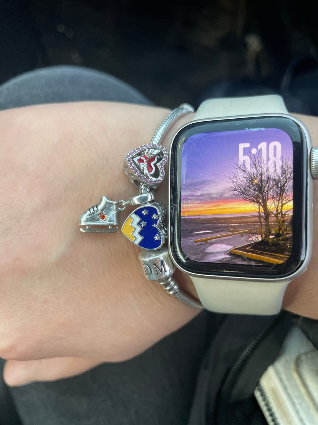 Customer photo review of Charm Corazón Magallanes