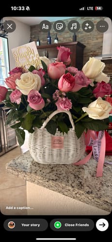 Customer photo review of W Basket E - Purple Deluxe