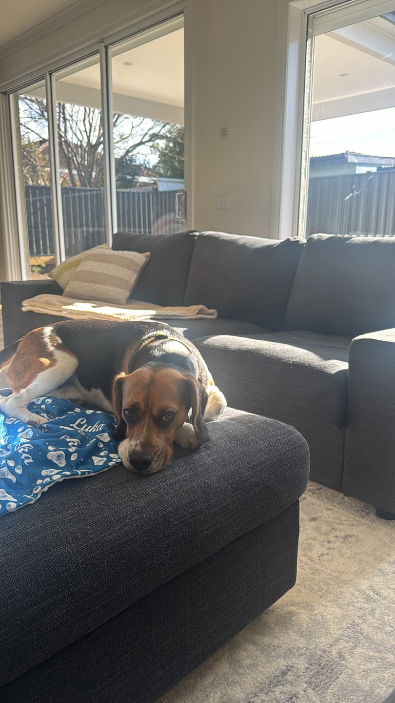 Customer photo review of Grass-Fed Beef Bone Broth Concentrate