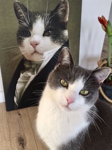 Customer photo review of Le Député