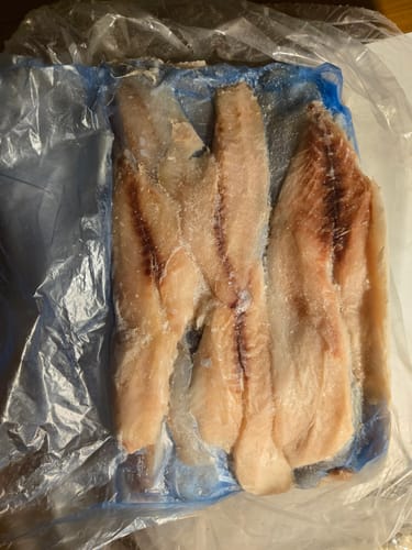 Customer photo review of 5KG Snapper Fillets (Skinned and Boned) Frozen