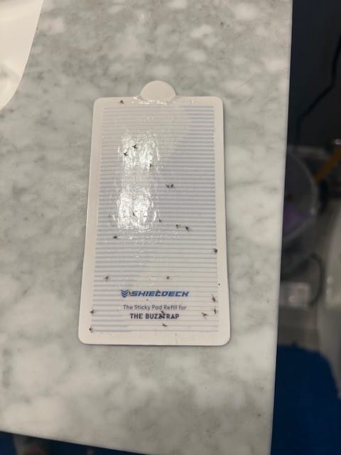 Customer photo review of Shieldeck® BuzzTrap – Smart Indoor UV Trap for Flies, Gnats, Mosquitoes, Fruit Flies & More