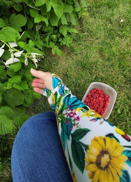 Customer photo review of GardenMate™ - Garden Protection Sleeves