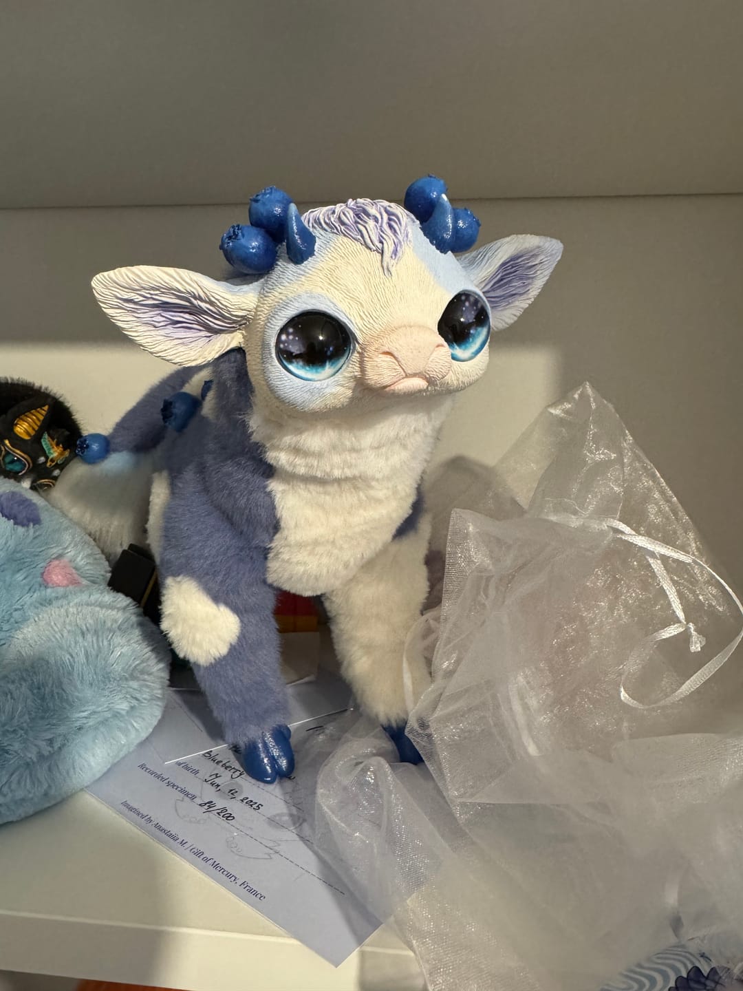 Customer photo review of Blueberry cow