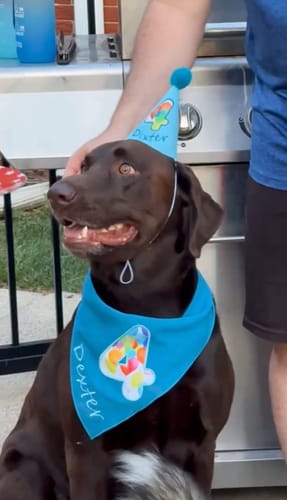 Customer photo review of Personalized Dog Party Pack