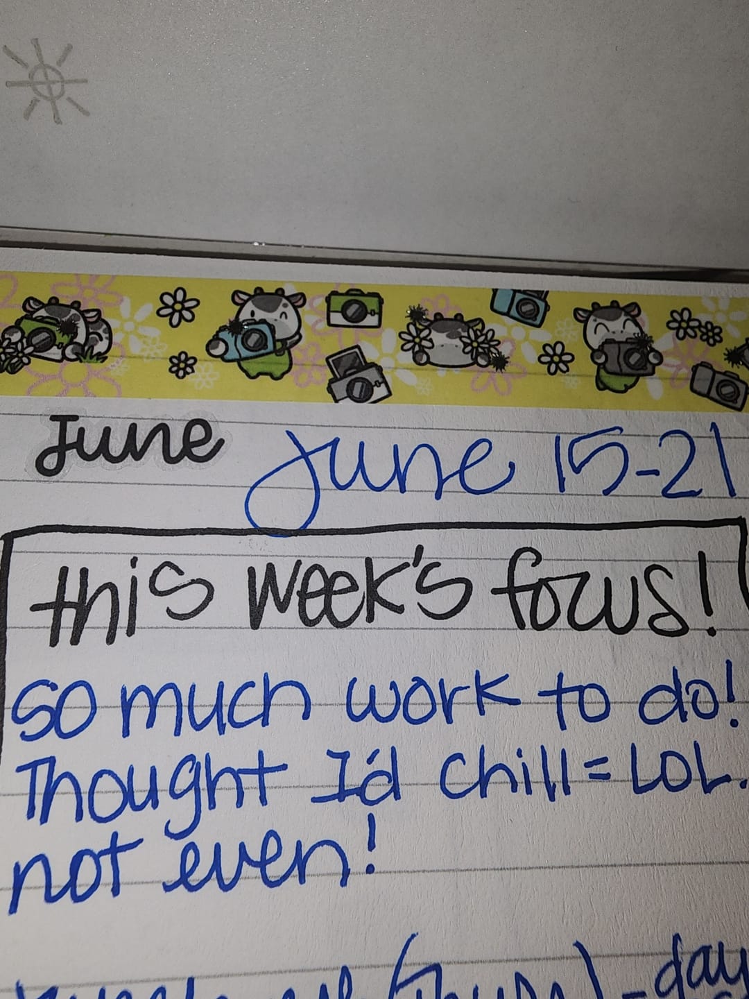 Customer photo review of Months Text Planner Stickers - Script