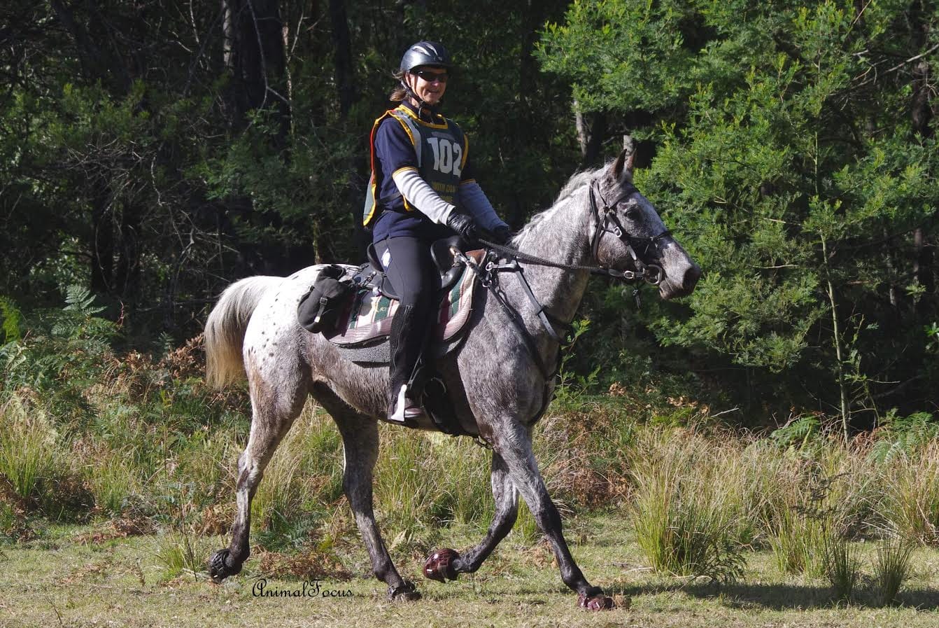 Customer photo review of Renegade® Classic Hoof Boots - Dragon Fire Red