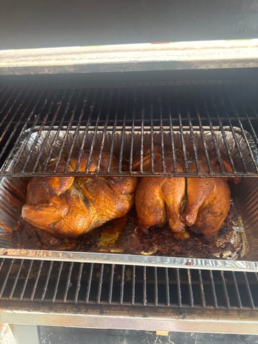 Customer photo review of BUILD YOUR OWN 4 PACK BUNDLE