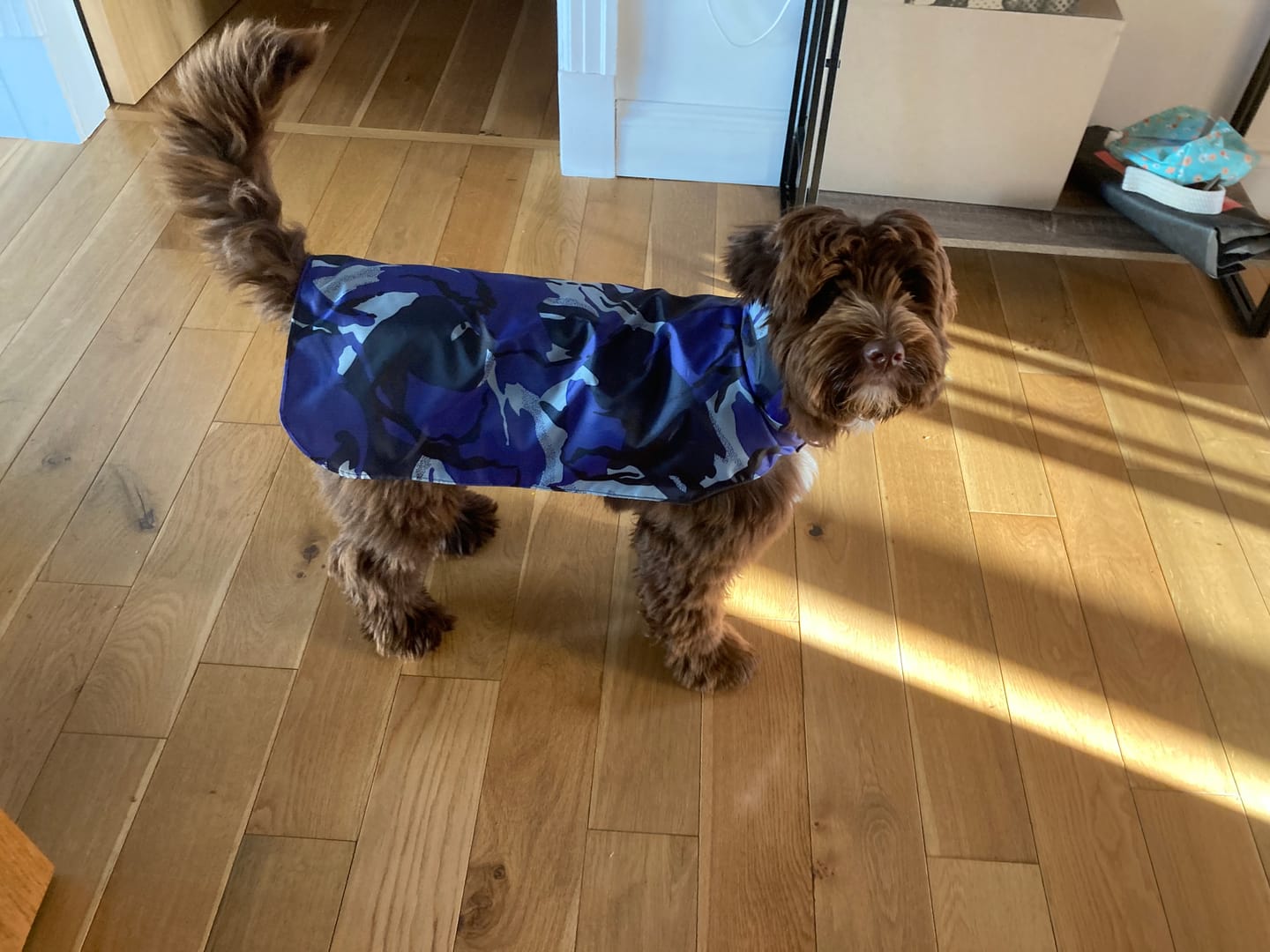 Customer photo review of Water Resistant Camouflage Ripstop Fabric