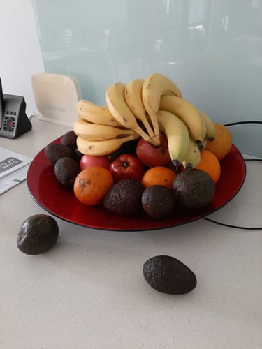 Customer photo review of Australian Grown Lions Mane Mushroom Capsules