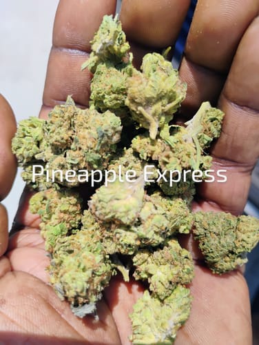 Customer photo review of Cheap THCA Flower Ounce