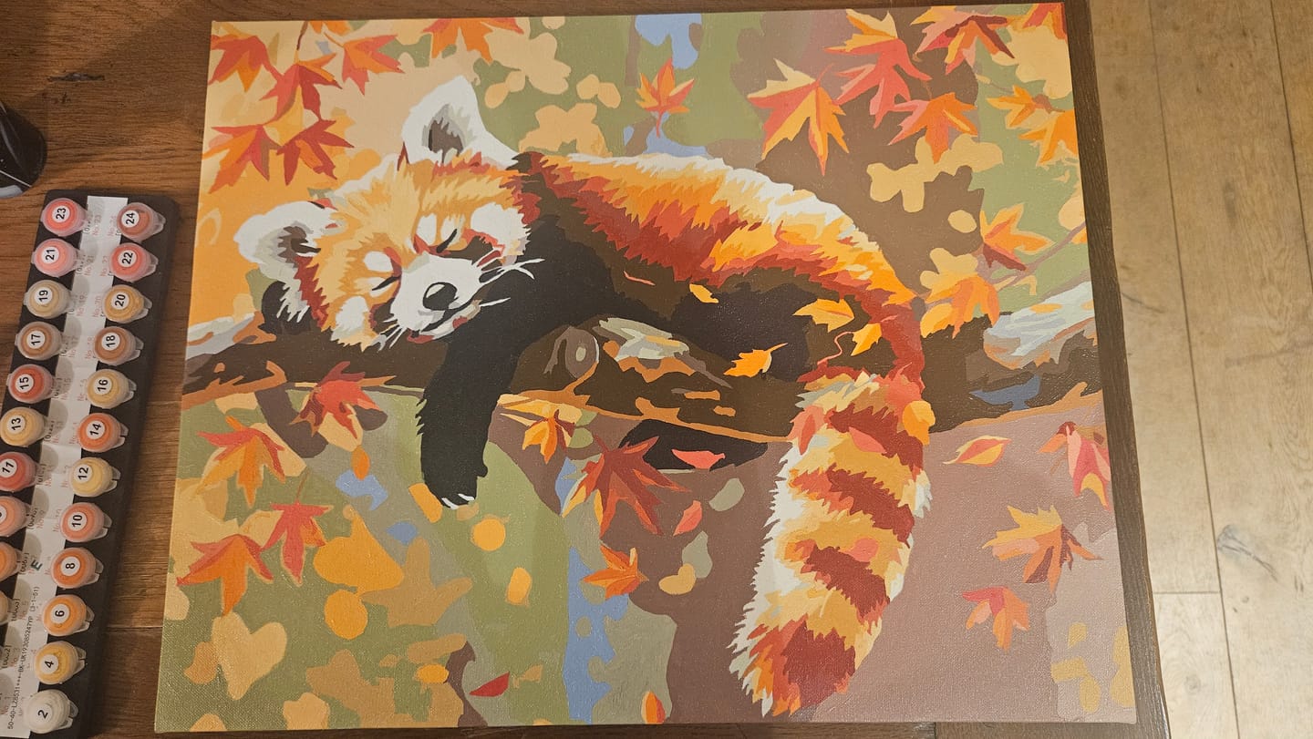 Customer photo review of Relaxed Red Panda