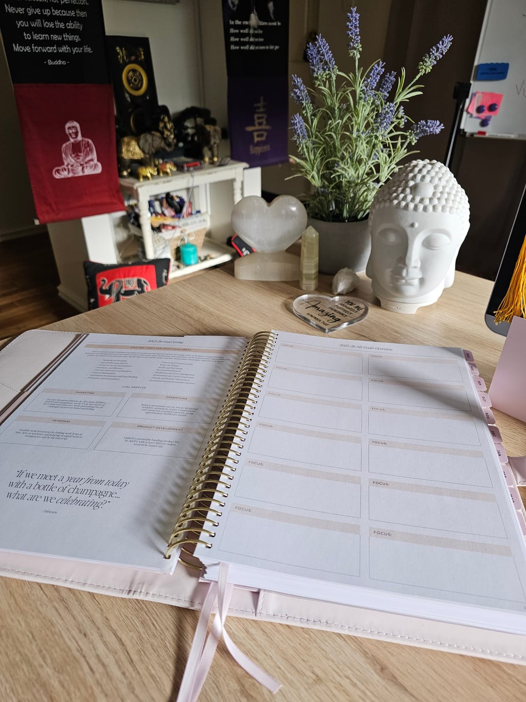 Customer photo review of 2025/26 Financial Year Business Planner - Blush