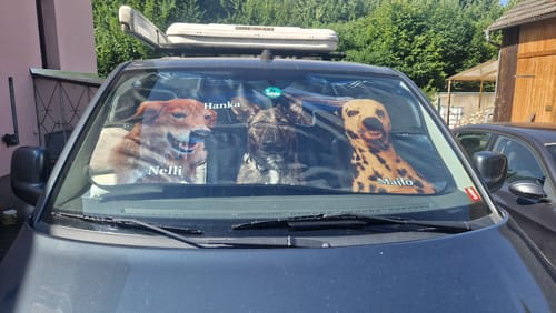 Customer photo review of Dein Haustierfoto - Individueller Autosonnenschutz