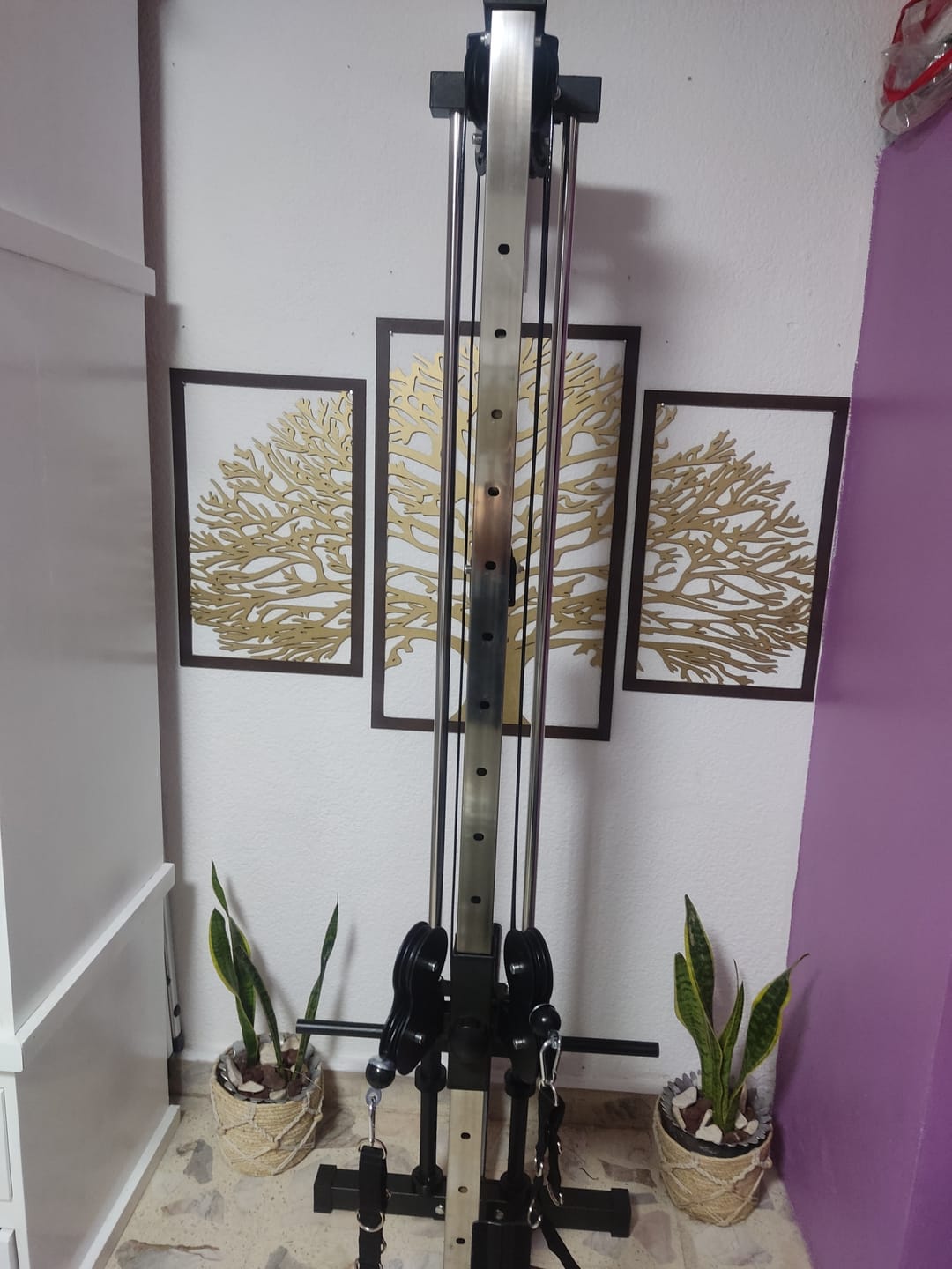 Customer photo review of Polea Alta LITE IRONSIDE