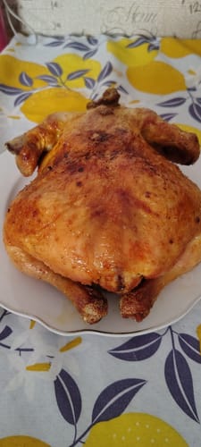 Customer photo review of Air Fryer Novio Grill & Fry