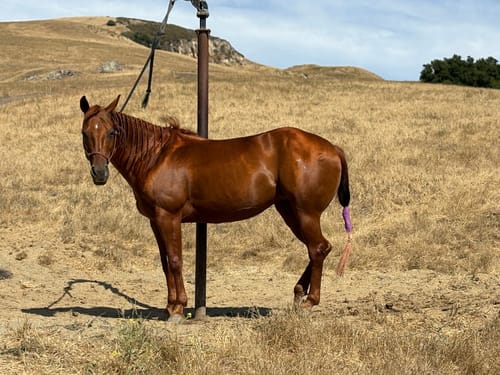 Customer photo review of Osteo-MAX » up to 29% Off