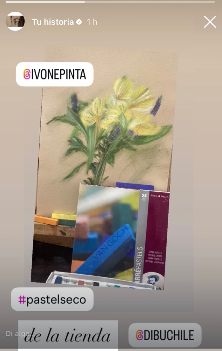 Customer photo review of Van Gogh Carré Pastels - Set 24 Pasteles Secos