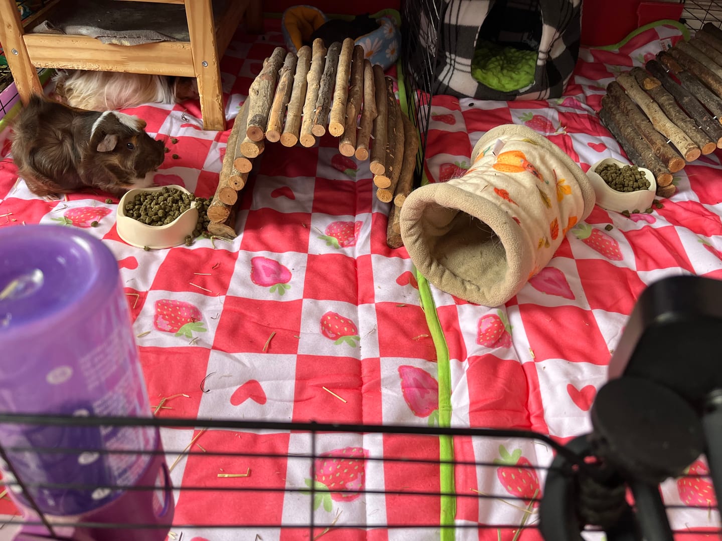 Customer photo review of Set of 2 Fleece Liners Bundle | Strawberry