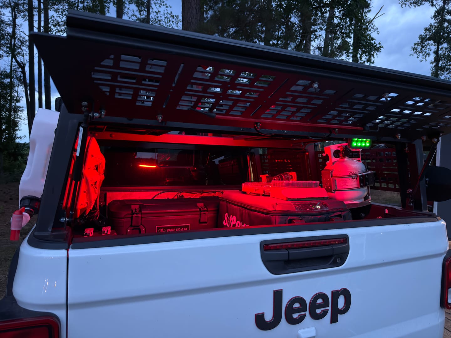 Customer photo review of F-Series 12" Light