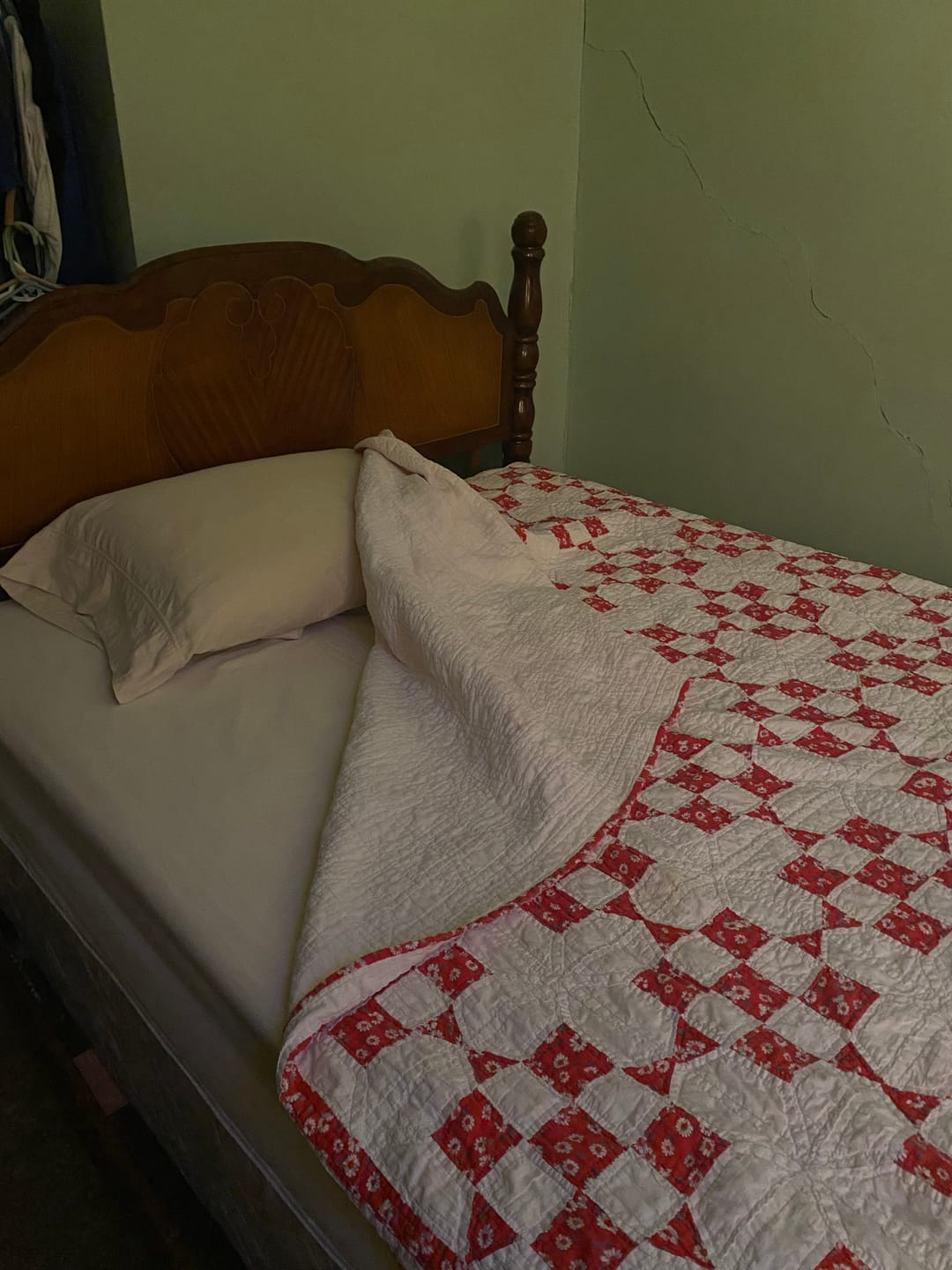Customer photo review of Wool Pillow