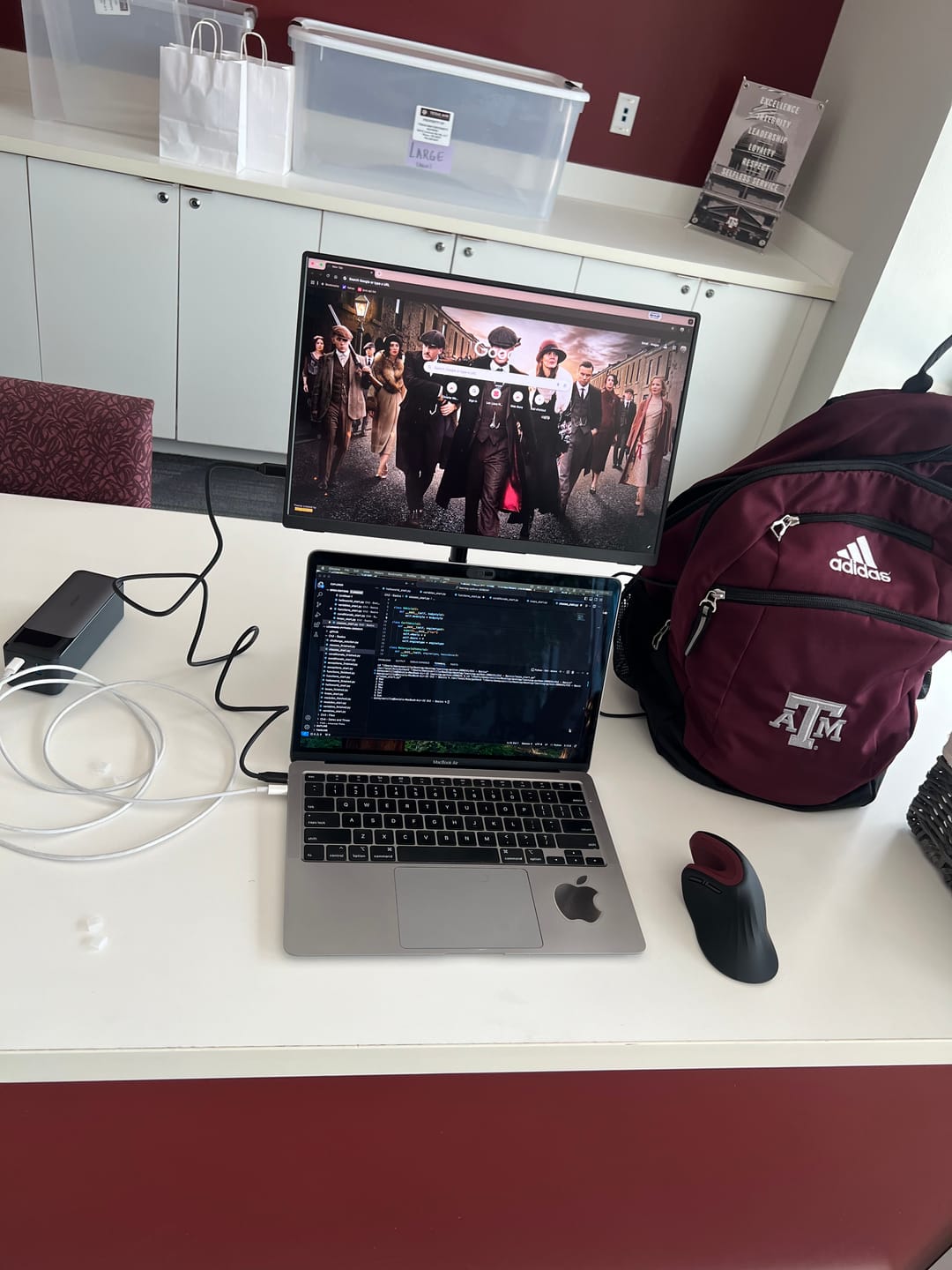 Customer photo review of 16” Portable Monitor + Stand