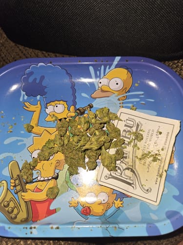 Customer photo review of Greenhouse Smalls