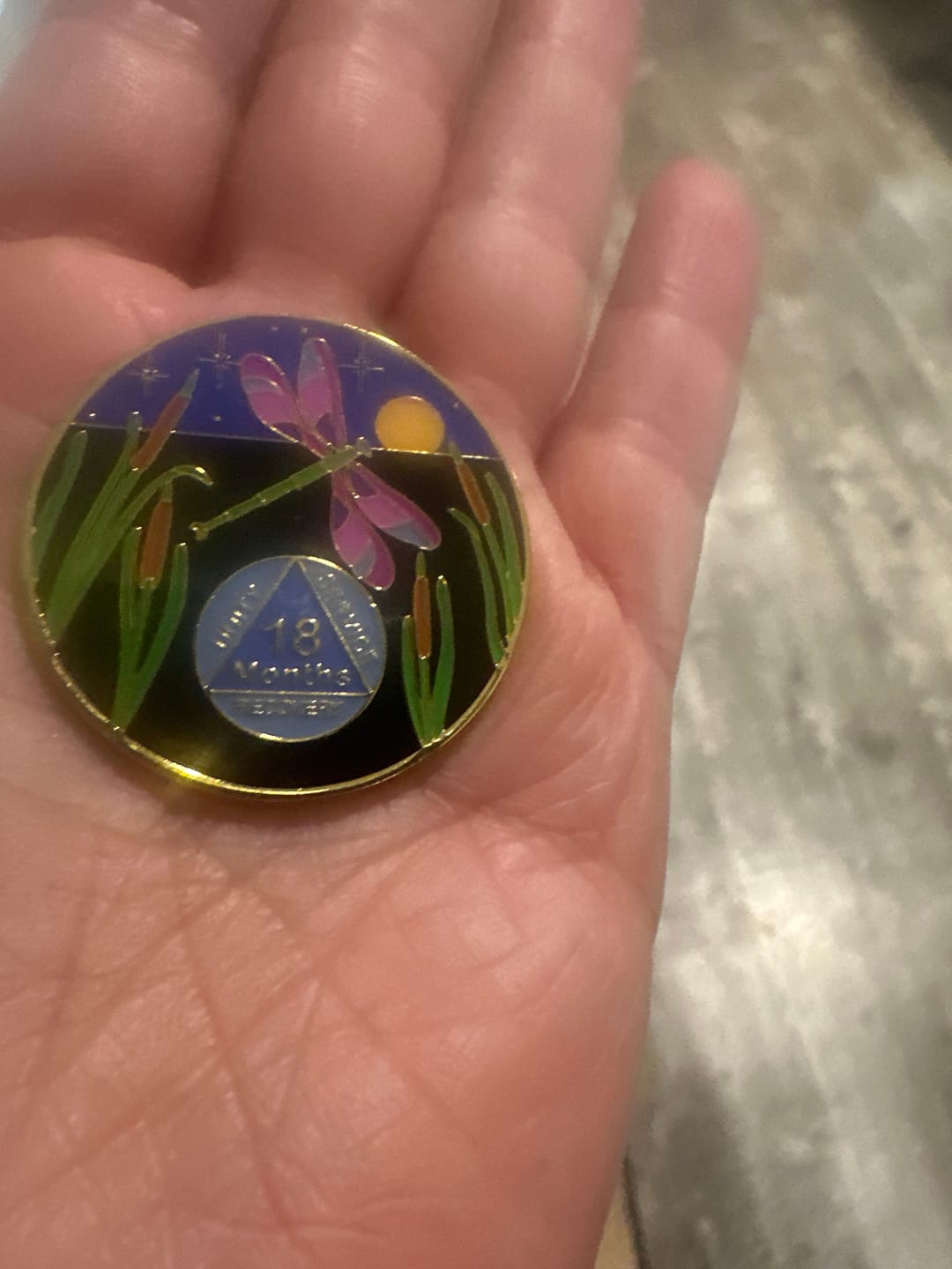 Customer photo review of Dragonfly 9th Step 18 Months Specialty AA Recovery Medallion - Tri-Plated 18 Month Chip/Coin